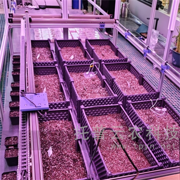 人工氣候室植物表型監(jiān)測系統(tǒng)